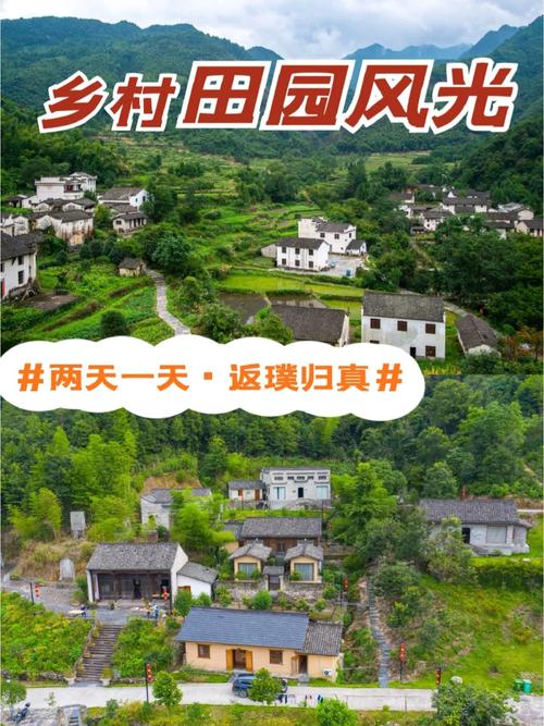 索尼娅的乡村生活官方正式版下载最新版：体验田园牧歌式生活