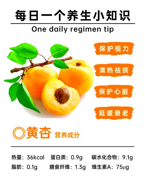 寻找人杏之间官方网站？这里有你需要的全部杏信息