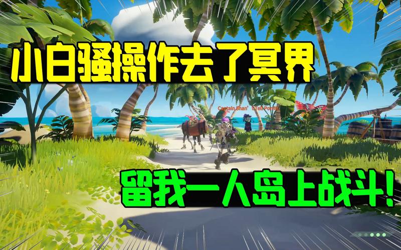 急速下载海盗尼克小姐汉化版：畅玩刺激海盗冒险