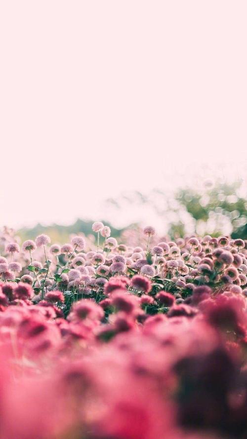 烂漫资源下载:各种方法和渠道分享