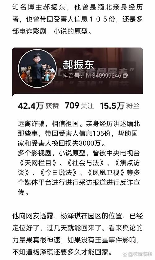 娱乐圈疑云安卓汉化：明星失踪背后的真相