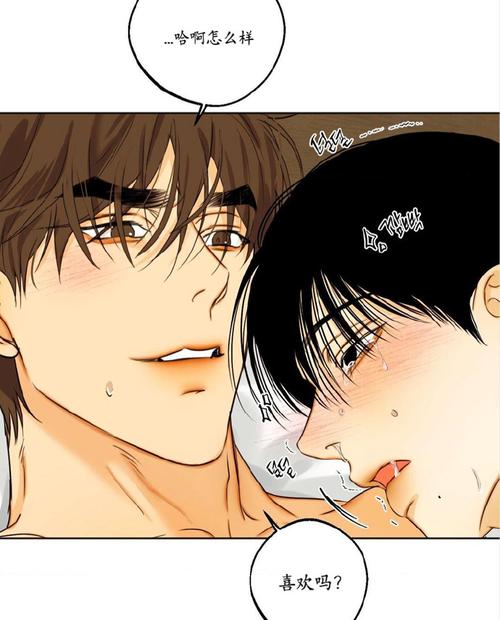 爱欲の色汉化版下载,有哪些需要注意的风险和防范措施?