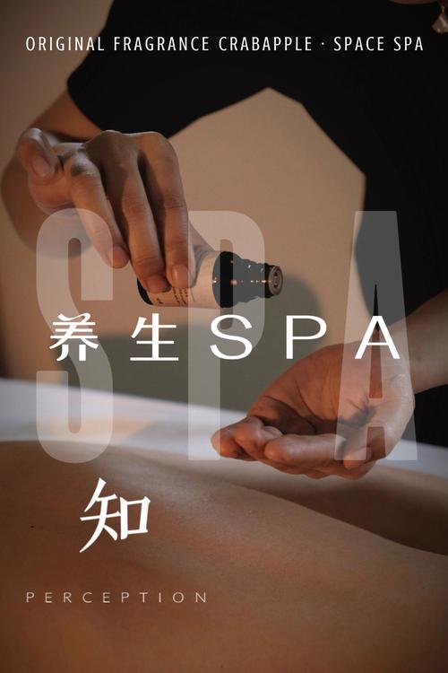 水疗中心汉化版下载：成为最棒的水疗大师