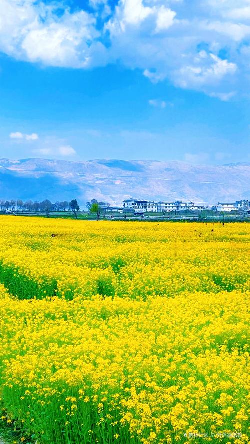 丽贝卡官方正式版下载最新版:轻松畅玩,简单易上手