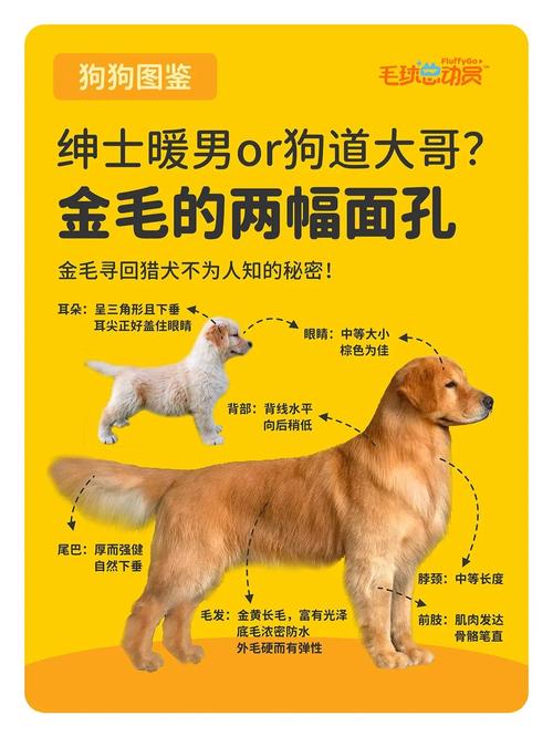 八月绅士游戏大揭秘:精彩内容深度解析