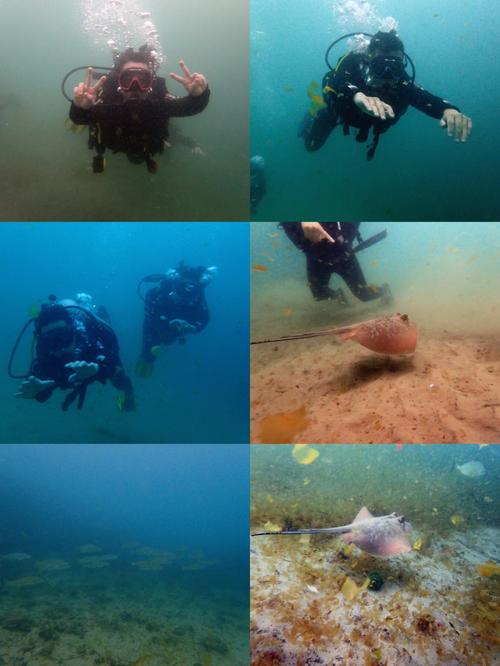 超潜世界汉化版下载教程:新手玩家必看指南