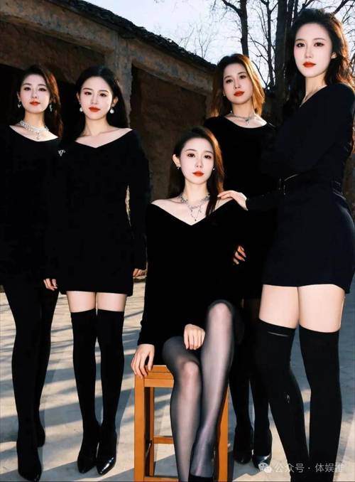 想玩黑巢姐妹？官网正版下载地址在此