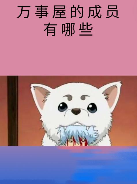 万事屋版本大全:不同版本功能对比及推荐