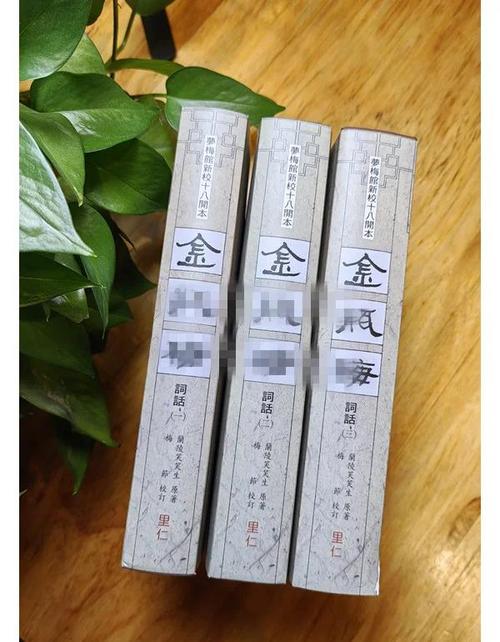 西门立志传游戏介绍:体验风流西门庆的传奇人生