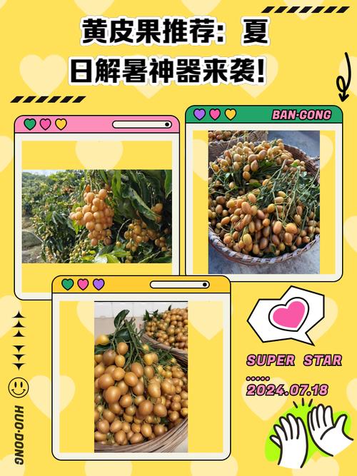 解暑神器!夏日炎炎绅士游戏推荐清单