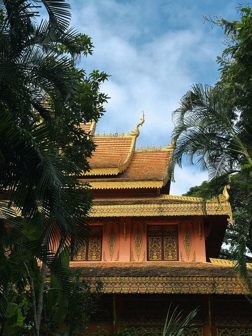 找不到欲妹幻想更新地址?这篇攻略带你轻松找到入口