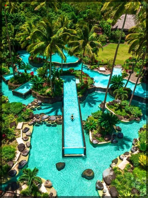 最新Nekotto岛下载资源分享,附下载教程及注意事项