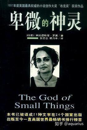 揭秘维罗达修女最新故事:挑战命运的女性