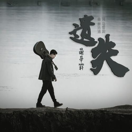 遗失资源下载大全:歌曲、小说、电子书一键获取