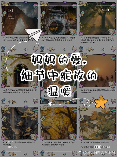 妈妈的爱官方网站:走进母女情深背后的动人故事