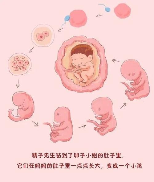 想了解性启蒙汉化版更新?这里有最新内容和下载方式