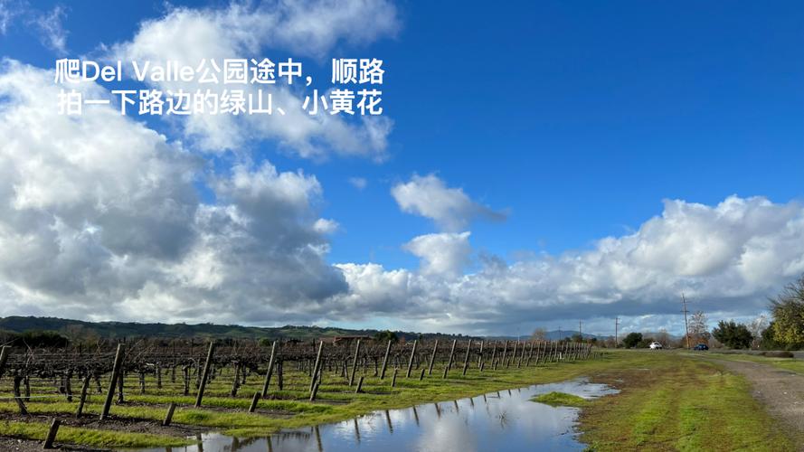 小绿山官方网站：最新汉化版下载及游戏攻略