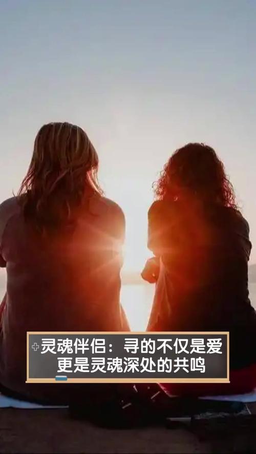 灵魂伴侣官方网站：寻找你的另一半