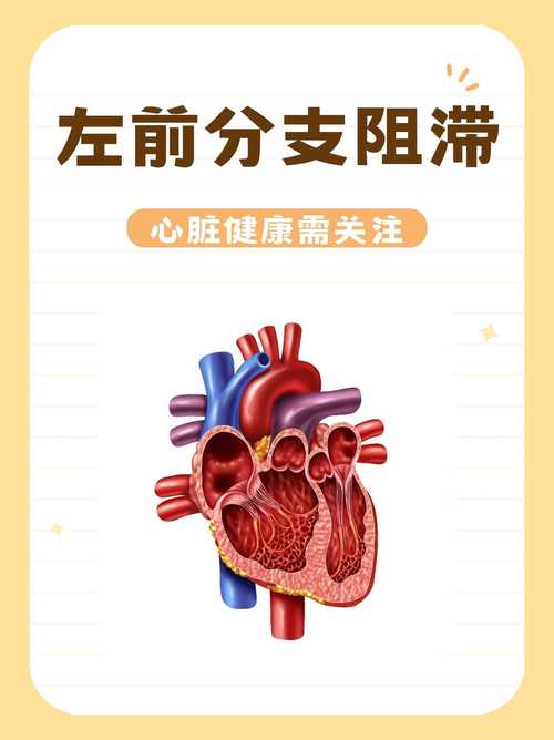关注心脏健康：心脏问题最新进展及自我保健指南