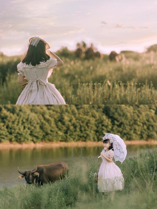 索尼娅的乡村生活官方正式版下载最新版：体验田园牧歌式生活