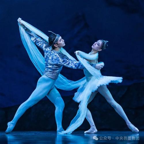 舞姬最新动态：精彩演出与幕后故事抢先看