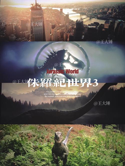 光环v1.6最新版本是多少?回忆杀启动!