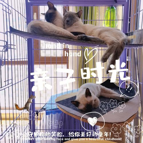 找不到真爱就扑街安卓版下载:你的选择决定结局