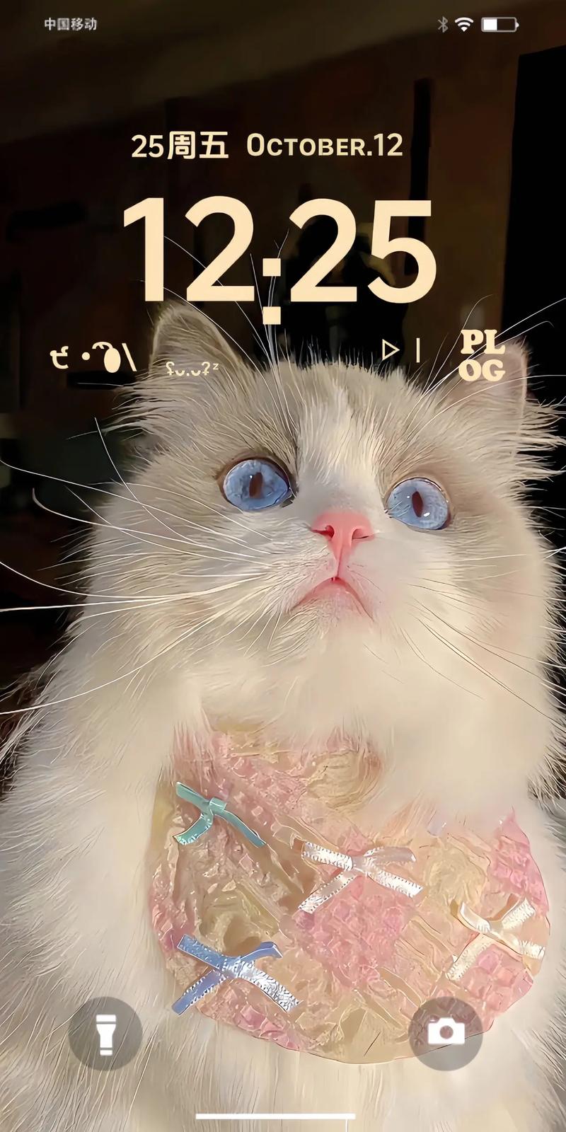 猫研社官网地址：沉浸式日系恋爱，治愈系猫猫等你！