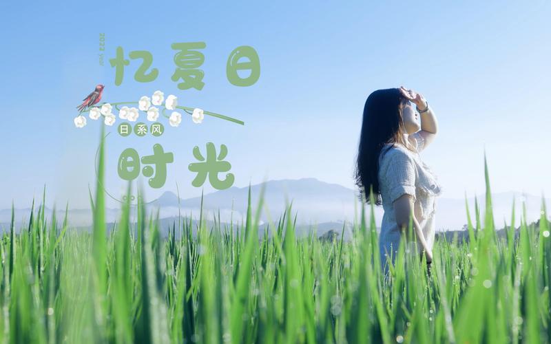 夏日的甜蜜回忆官方网站:记录夏日点滴,分享甜蜜瞬间