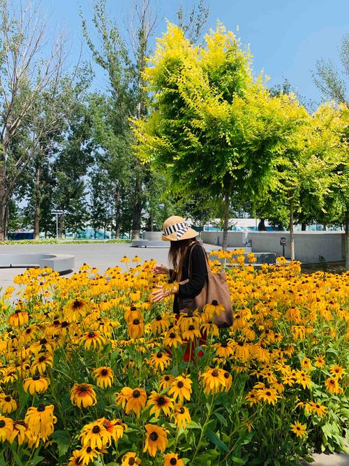 最全脚下的正常生活版本大全:PC版、手机版都有!