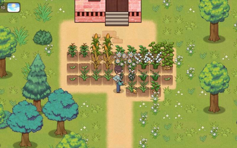 乡村狂想曲所有版本合集:下载攻略全收录!