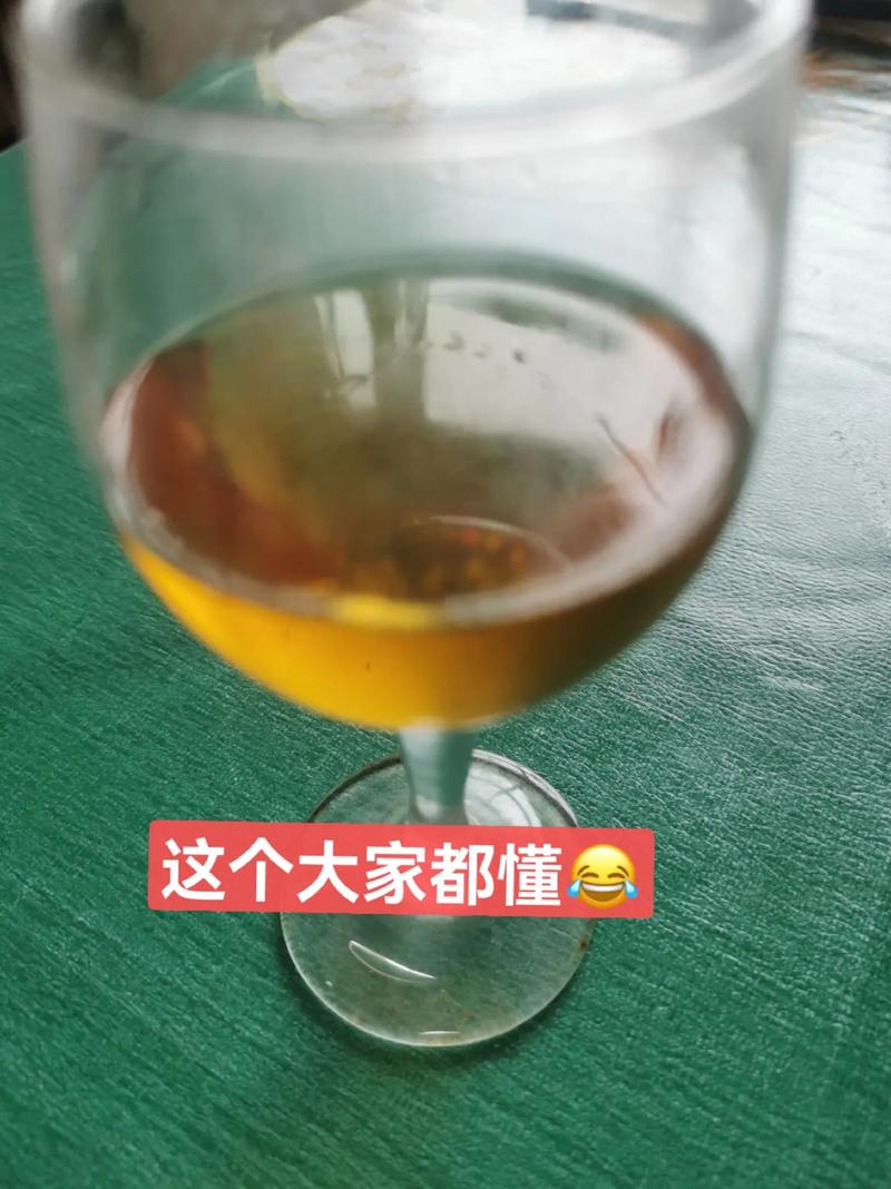 还在迷茫?新生活计划版本大全帮你解惑
