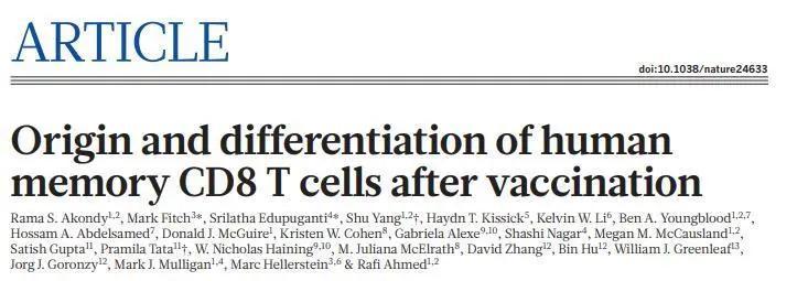 援助妊娠学院3.1官网详解:全面解读官方网站各项功能
