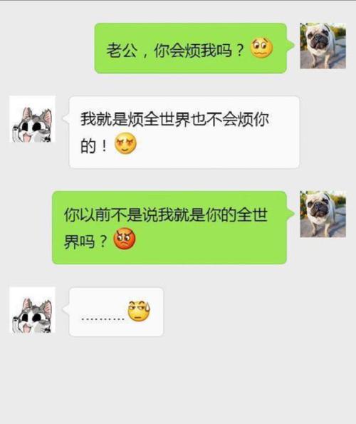 找不到妻子电话官网?教你如何快速找到官方网站