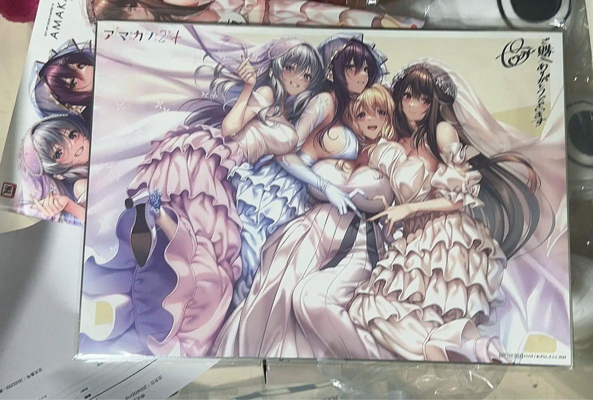 二次元老婆学院绅士游戏：超多老婆等你养成！