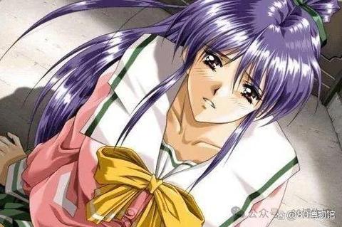 臭作游戏深度解析：你了解背后的故事吗？