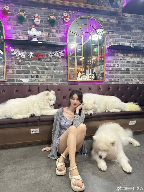 轩子巨二兔游戏经历全揭秘：从斗鱼到BIGO