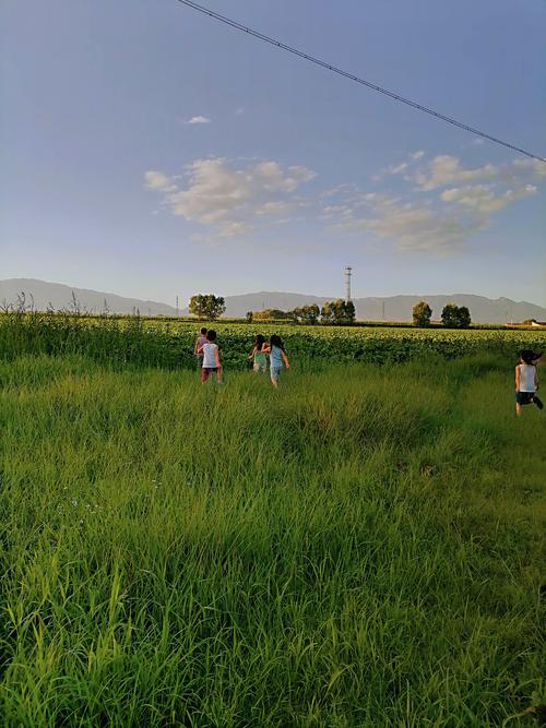 乡村生活的快乐暑假游戏官网:轻松休闲手游推荐