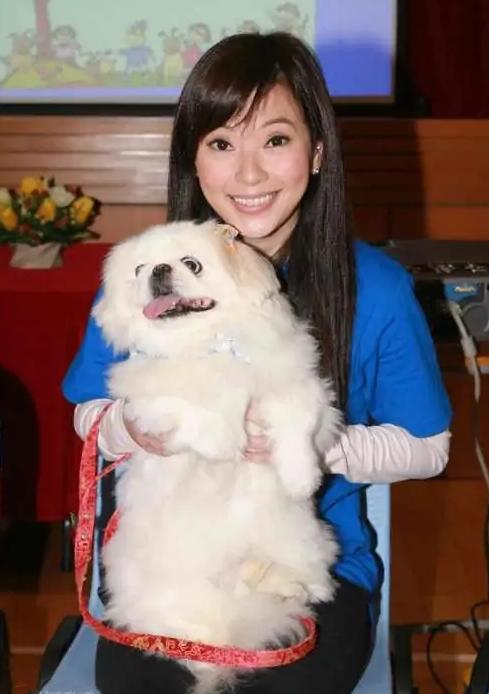 超级富豪酒池肉林下载地址:亿万富豪的纸醉金迷生活