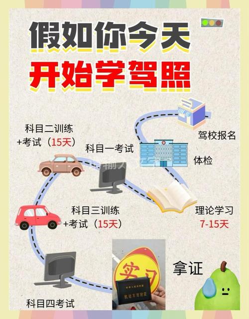 想跑出租?官方网站教你如何顺利拿到驾照!