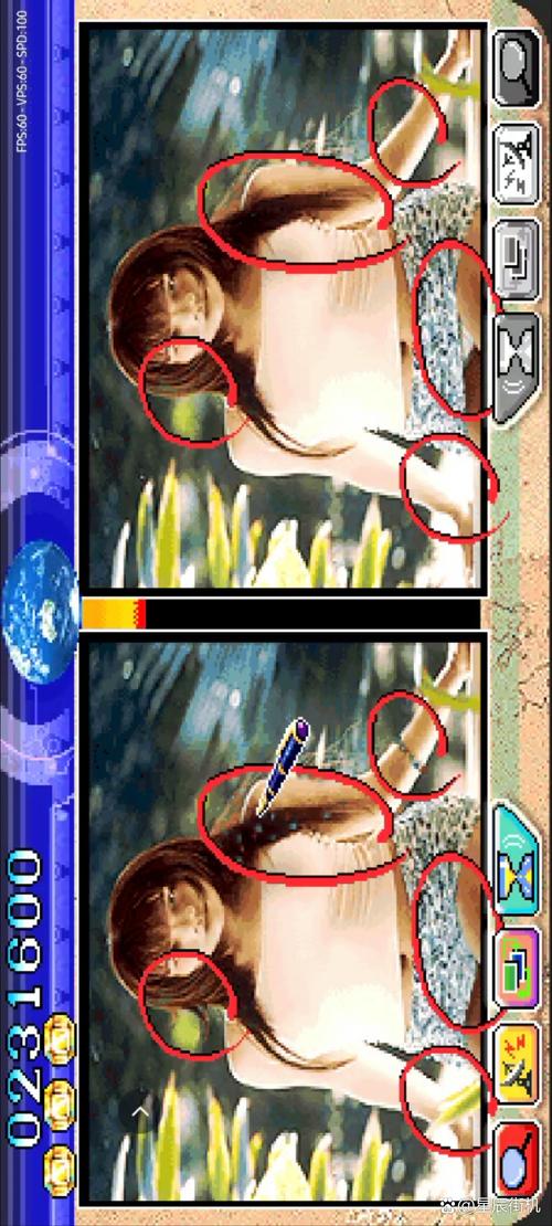 丹弗斯小姐游戏：寻找隐藏的小熊杨过！