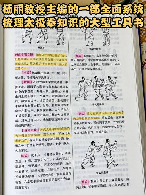 双人会所杨过游戏攻略:新手玩家必看指南