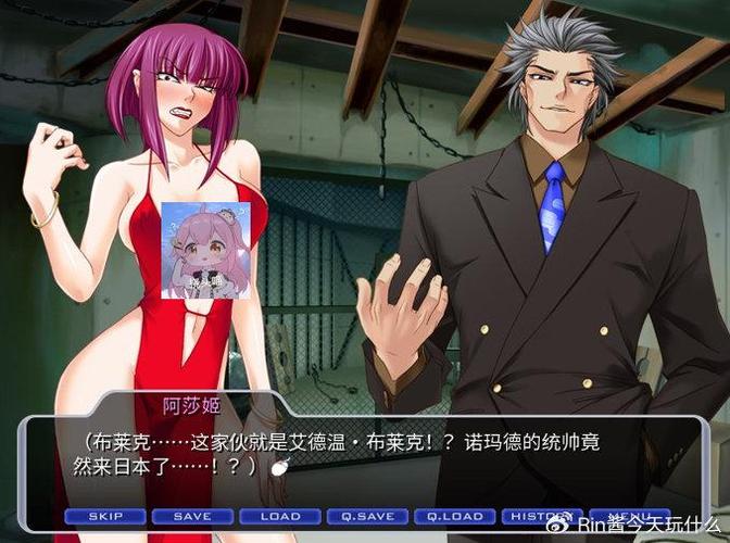 对魔忍阿莎姬版本大全:玩家必备版本合集