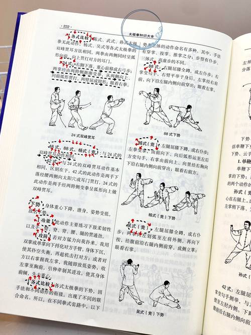 双修武林版本大全:新手入门及进阶技巧分享