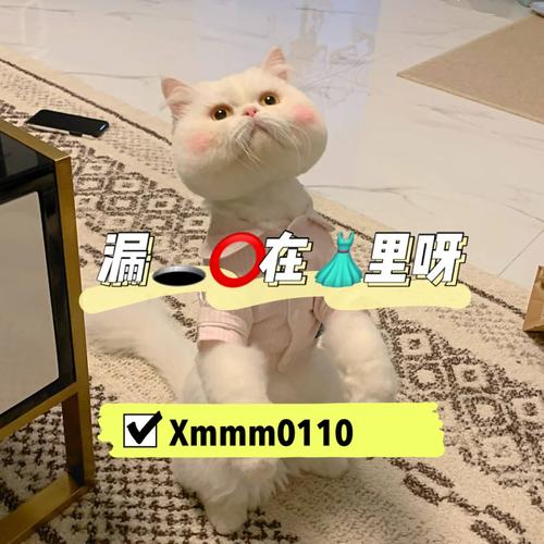 超全亲密接触版本大全:你想要的这里都有