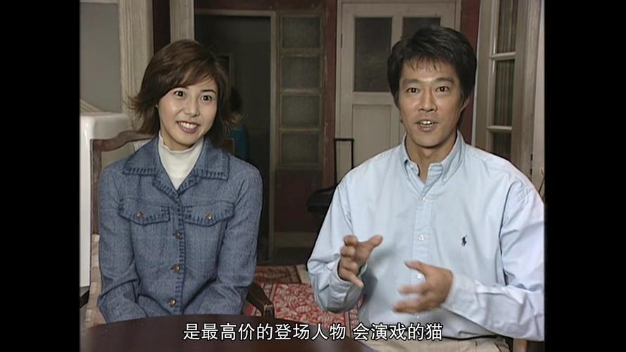 大和抚子版本大全:经典日剧不同版本对比