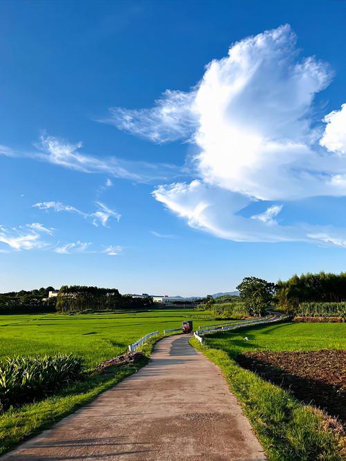 乡下生活版本大全：带你感受不一样的乡村风情