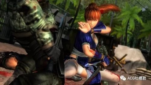 欲望岛游戏官网及其他ACG游戏资源大全