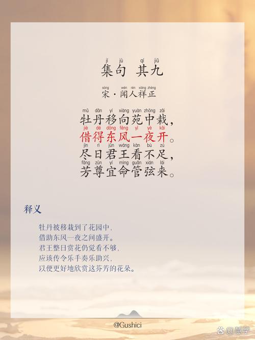 九言版本大全汇集：经典九言，尽收眼底