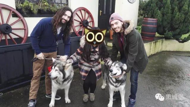 还在找游戏？绝对疯狂V0.63，你弟弟的最爱！